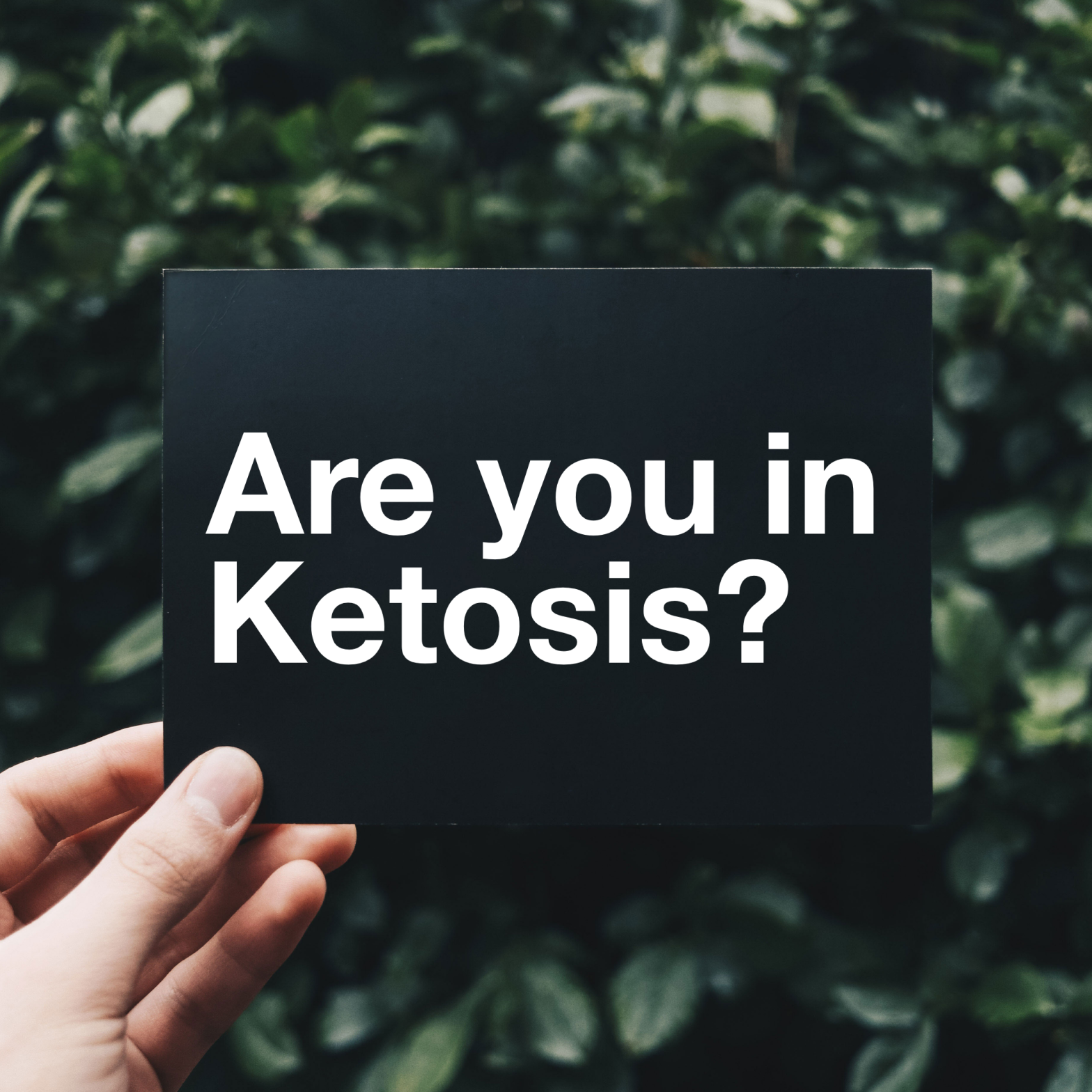 Are you in Ketosis